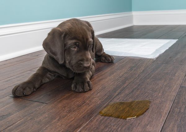 waterproof laminate flooring